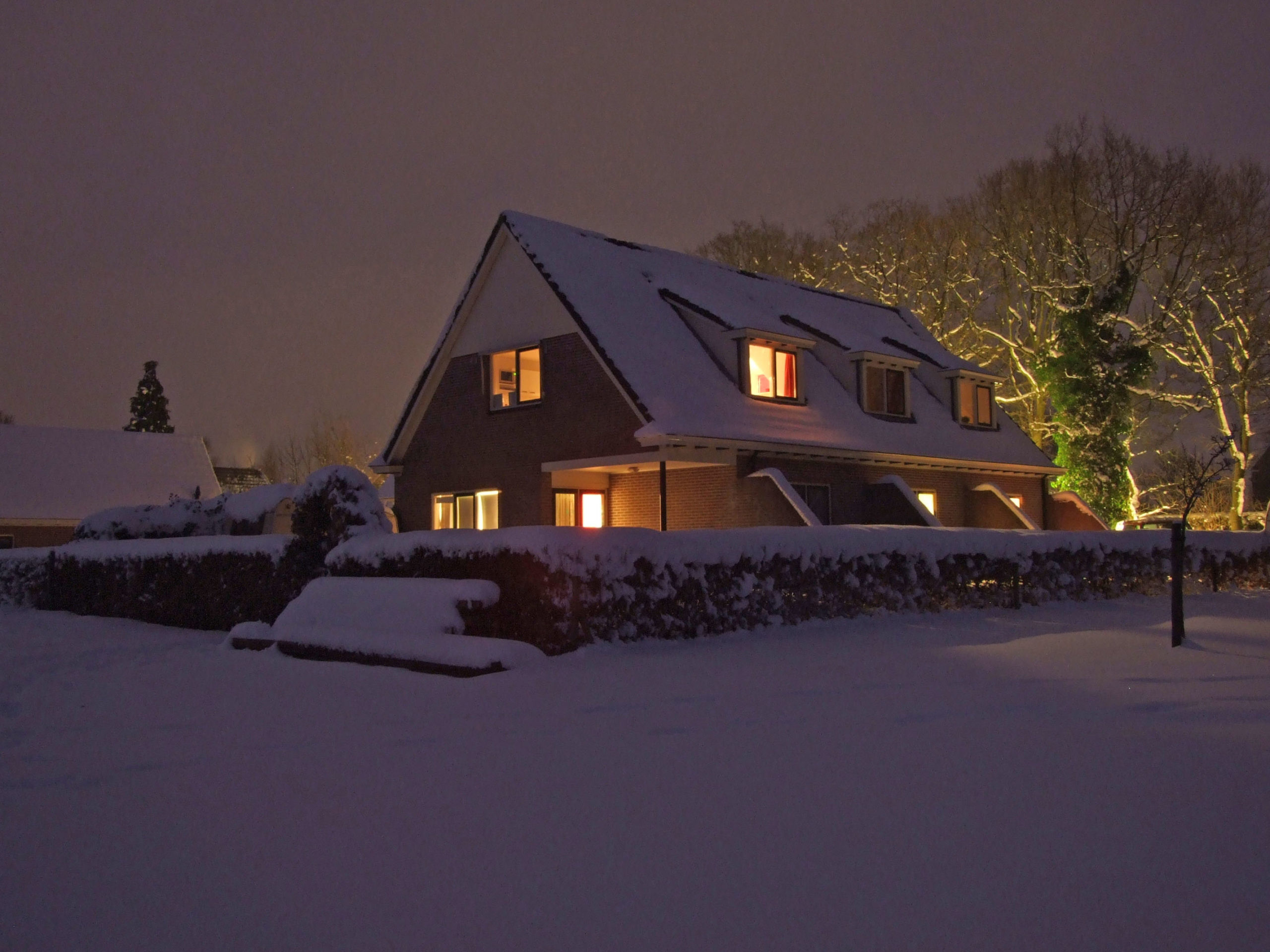 winter2