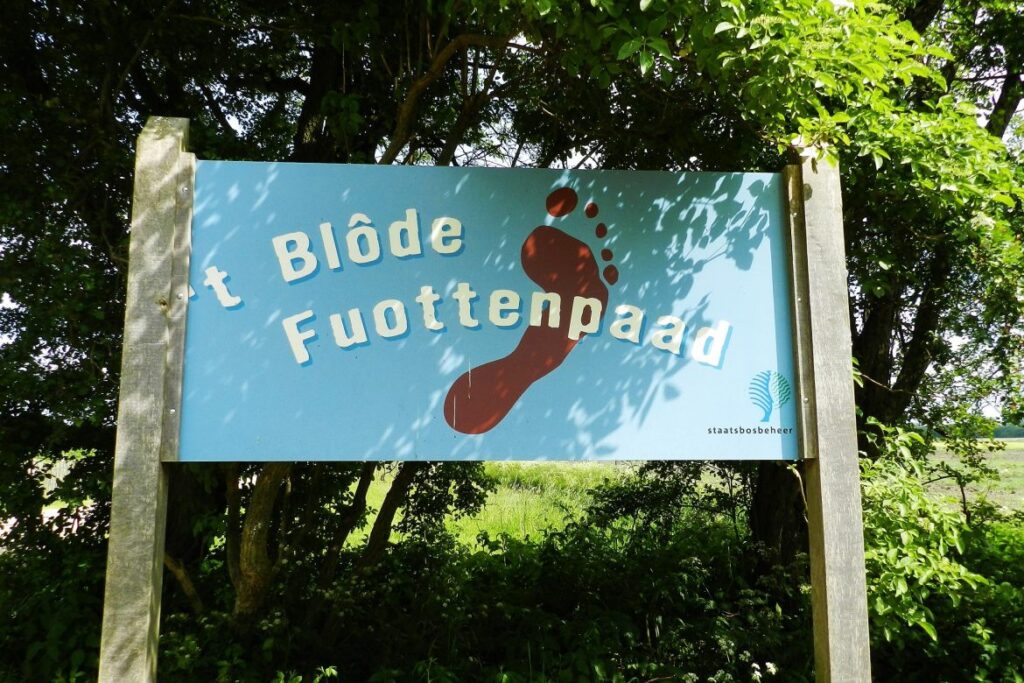 blotevoetenpad5