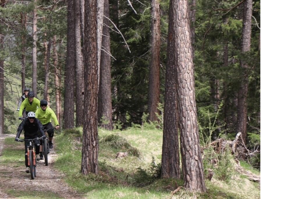mountainbike (Groot)